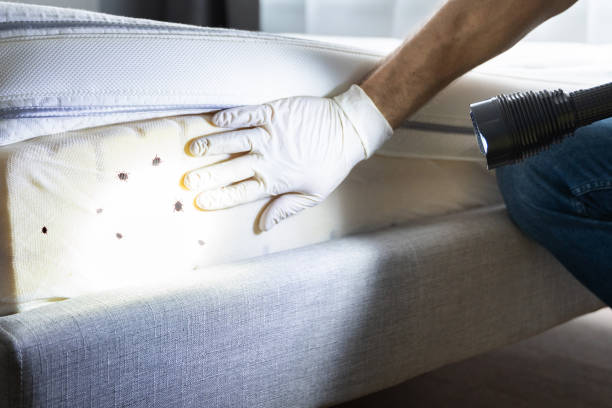 Best Exterminator Services  in Mcgregor, TX