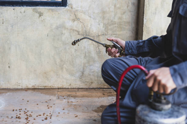 Pest Control Cost in Mcgregor, TX